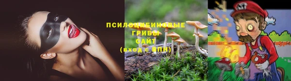 прущая мука Аркадак