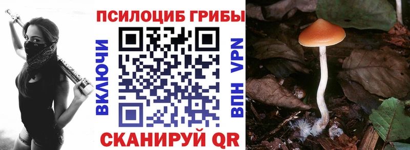Галлюциногенные грибы Magic Shrooms  Гай 